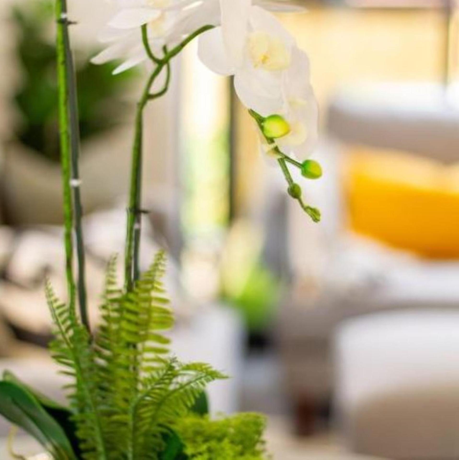 New Sophisticated City Pad Leilighet Christchurch Eksteriør bilde